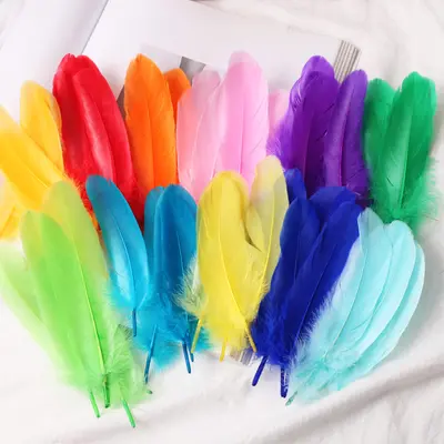 White Goose Feathers, Kindergarten Craft and DIY Jewelry Material