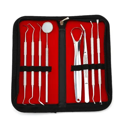 Stainless steel dental cleaning and tartar removal tool kit