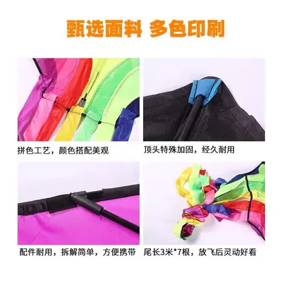 Rainbow Phoenix Kite for Adults, with Front Pole