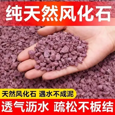 Bonsai Soil Mix with Akadama, Acidic Soil and Red Sand Granules - 2
