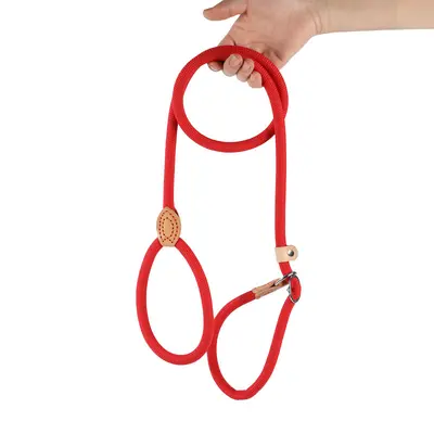 Köpek tasması patlamaya dayanıklı entegre P halat P zinciri kalınlaştırılmış köpek tasması yürüyüş tasması küçük, orta ve büyük köpekler için uygun köpek zinciri. - 10