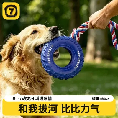 Gummireifen-Hundespielzeug, stabil, kaubeständig, interaktiv