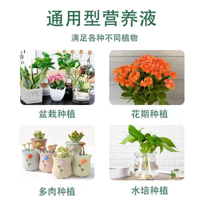Liquid Plant Nutrient Solution for Flowers and Green Plants, Hydroponic Foliar Fertilizer - 5