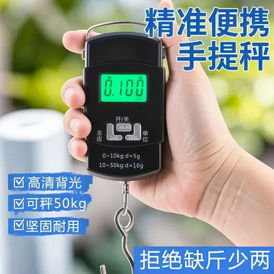 Electronic Scale, Mini Spring System, Luggage and Kitchen
