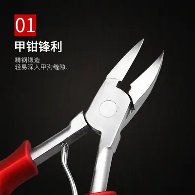 Stainless Steel Nail Scissors and Nipper Set for Ingrown Nails and Pedicure