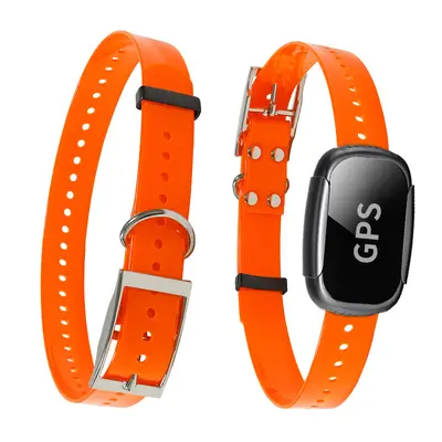 GPS-Tracking-Halsband zur Verlustprävention für Haustiere