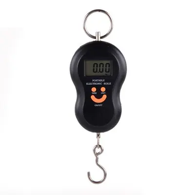 Portable electronic kitchen scale, high precision