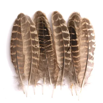 Natural Colored Pheasant Feathers, 80 pcs, Decorative DIY Jewelry Material