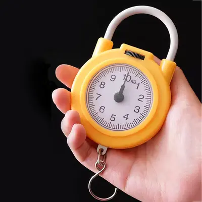 Portable Mini Hook Household Digital Spring Scale