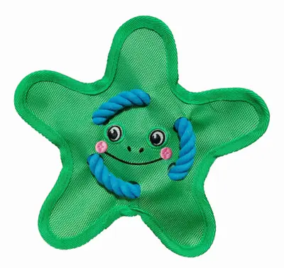 Dog Fetch Rope Toy with Squeaker, Oxford Cloth Frisbee, Durable Chew-Resistant - 11