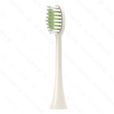 Replacement Brush Heads Compatible with Philips Sonicare HX242W, HX243W, HX247Y - 10