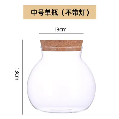 High Borosilicate Glass Hydroponic Plant Bottle, Desktop Vase and Betta Tank - 8