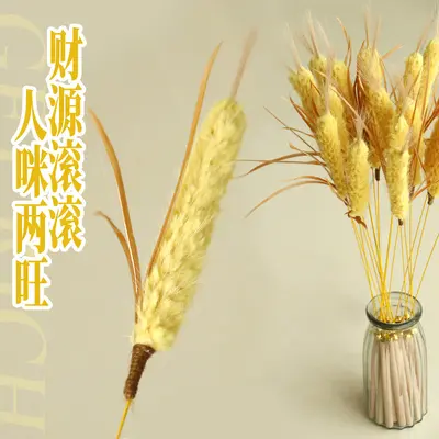 Wheat Ear Cat Teaser Wand with Bell and Chew-Resistant Toy
