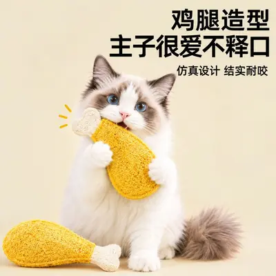 Natural Luffa Cat Toy with Catnip, Teeth Cleaning Chew Toy - 5