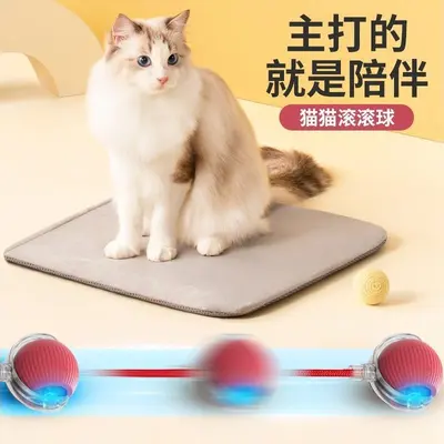 猫咪玩具球自嗨球逗猫逗狗滚滚球毛宠物解闷毛绒球猫玩具宠物玩具 - 3