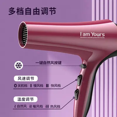Yongri 2200W Blue Light Hair Dryer, Salon Use, 3C Certified