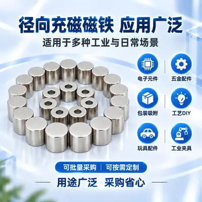 NdFeB Radial Magnetized Magnet for Hall Sensor, Customized Radial Magnet Bar