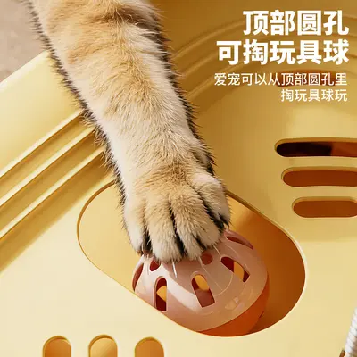 Katzenspielzeug Labyrinth-Teller mit Glöckchen und Federn - 4