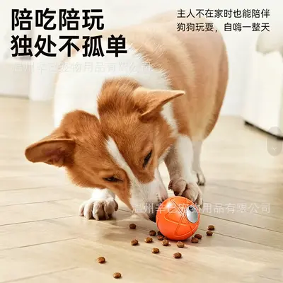 Dog Toy Rolling Electric Bouncing Ball, Smart Chew-Resistant Interactive Ball - 4