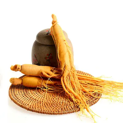 Frischer Changbai-Ginseng, nordostchinesische Spezialität, zum Ansetzen in Alkohol - 6