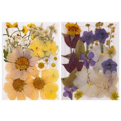 Neue DIY-Handarbeitsmaterialien Fotoaufkleber Klebstoff Lesezeichen Fotorahmen Materialpaket getrocknete Blumen geprägte echte Blumen Pflanzenpräparate