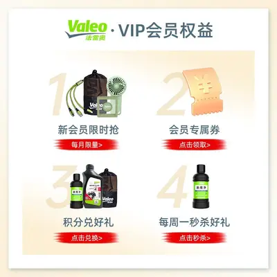 Valeo Full Synthetic DOT4 Brake Fluid for Cars and Motorcycles