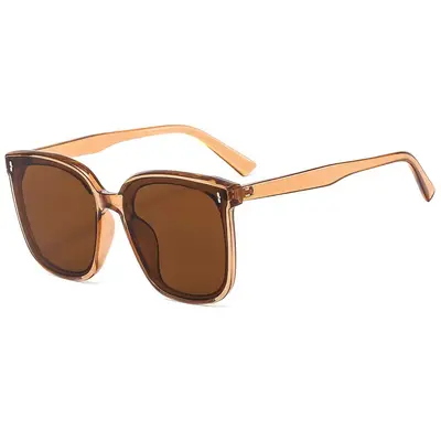 Large-Frame Sunglasses, Street Style, Vertical Stud Design - 6