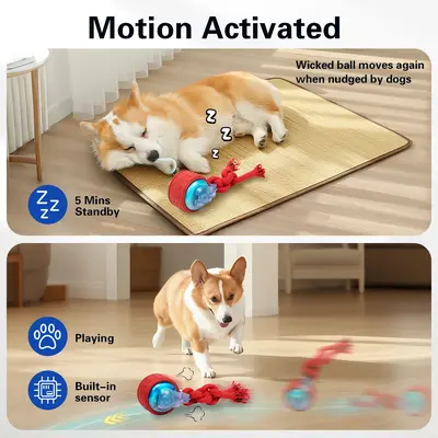BENTOPAL狗狗玩具发声狗可充电宠物玩具