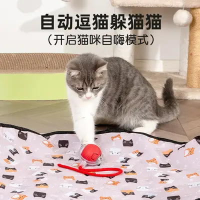 Electric Interactive Cat Hunting Net Toy with Rolling Ball - 4