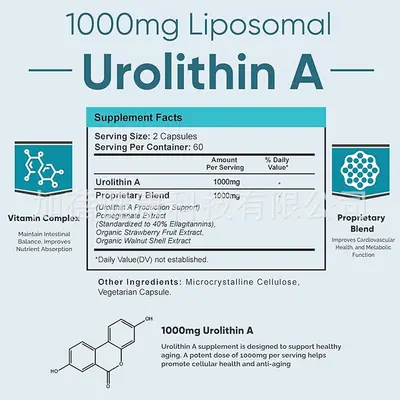Urolithin A Capsules, Liposome Anti-Aging Dietary Supplement - 4