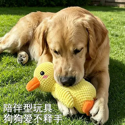 Plush Duck Dog Toy, Durable Chew Toy with Squeaker - 5