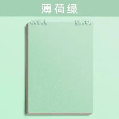 B5 Ring Binder Loose-Leaf Notebook, Removable Spiral Notepad - 9