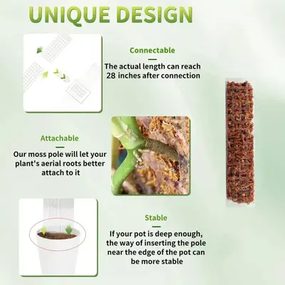 Transparent Extendable Moss Pole for Plant Climbing Support