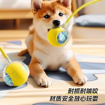 Automatischer Hunde-Spielball, bissfest, elektrisch - 4