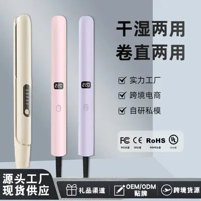 Cross-border Electric Hair Straightener Curling Iron 2-in-1 Bangs Student Hair Straightening Plate Mini Portable Hair Straightener and Curler