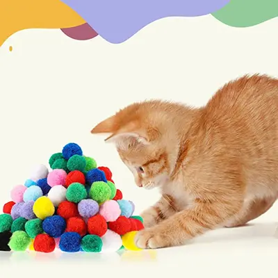 Etkileşimli kedi oyuncak seti, yaylı top ve çanta