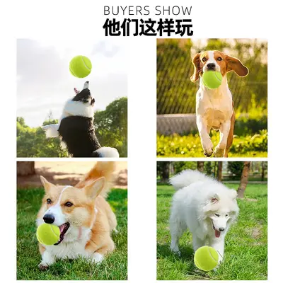 Elastischer Hundetennisball, bissfest, zum Zahnen, mit Quietscher - 4