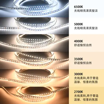 LED şerit ışık kendinden yapışkanlı 24V yüksek parlaklık düşük voltaj ortam tam spektrum 120 led 8mm 2835 lineer ışık şeridi toptan