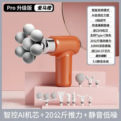 Rechargeable 10-Head Multifunction Massage Gun - 10