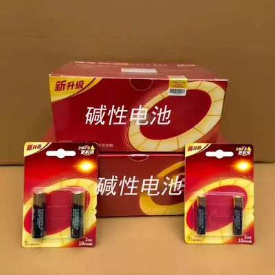 AA and AAA Alkaline 1.5V Batteries for Remote Controls and Microphones