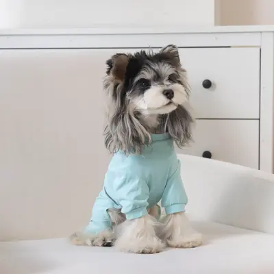 Reflektierende bedruckte Hundekleidung, Frühjahr und Sommer