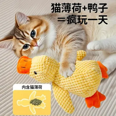 Cat Toy with Plush Catnip, Crinkle Paper and Teaser Wand