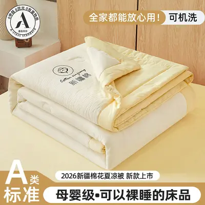 Class A Mother and Baby Grade Summer Cooling Quilt Xinjiang Cotton Summer Quilt Air Conditioning Quilt Core Summer Children's Thin Quilt Single Person Machine Washable - 13