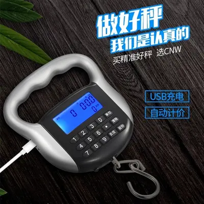 cnw计价秤充电手提秤卖菜秤台秤电子秤快递秤买菜秤弹簧称吊钩称
