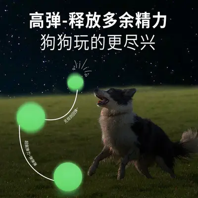 TPR-Hundekauspielzeug, langlebiger nachtleuchtender Ball - 3