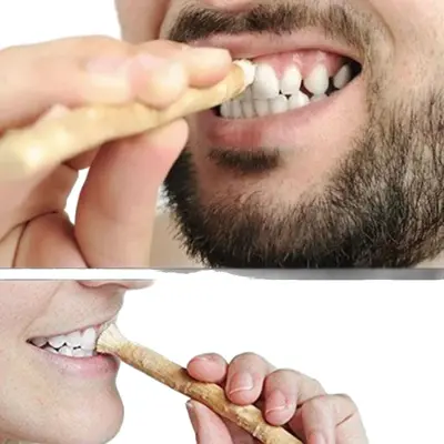 Arab miswak teeth cleaning stick traditional natural branch toothbrush