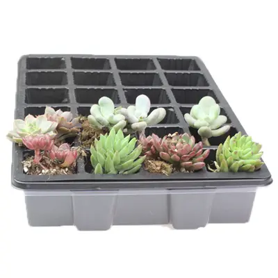 Black 12-Hole Seedling Tray Set, Three-Piece, Large Holes