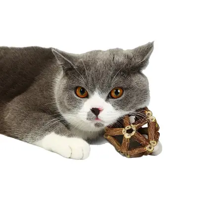 Мяч с кошачьей мятой, милый мяч, игрушка с кошачьей мятой, дразнилка-палочка для кошек из сильвервайна, палочка для чистки коренных зубов, устойчивая к жеванию, принадлежности для котят - 6