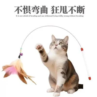Çelik Telli Kedi Oyuncak Çubuğu, Renkli Tüy Değiştirilebilir Başlıklı ve Çanlı, Dayanıklı, Isırmaya Dayanıklı, İnteraktif Eğlence İçin Evcil Kedi Oyuncağı, Stokta Toptan Satış.
