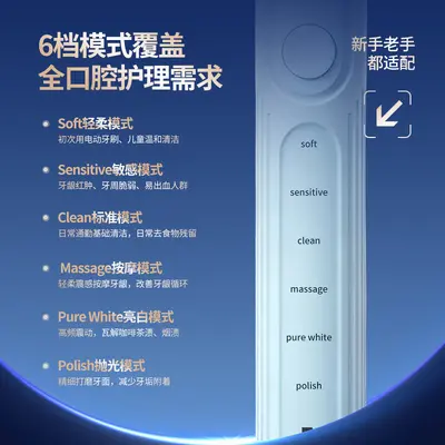 Electric Toothbrush Cross-border Source Factory New Adult Soft Bristle Full-body Waterproof Electric Toothbrush Wholesale